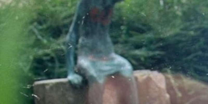 POL-RE: Gladbeck: Skulptur entwendet - Polizei sucht Zeugen - Foto: presseportal.de