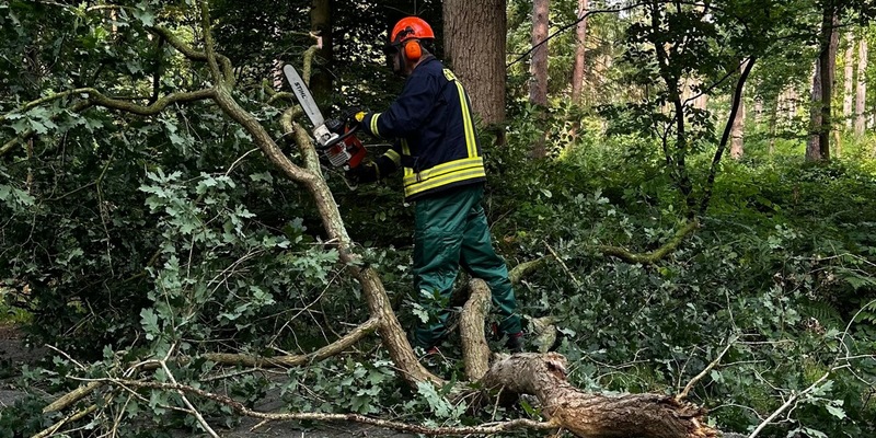 FW-AUR: Abgebrochenes Geäst blockiert Fahrbahn - Foto: presseportal.de
