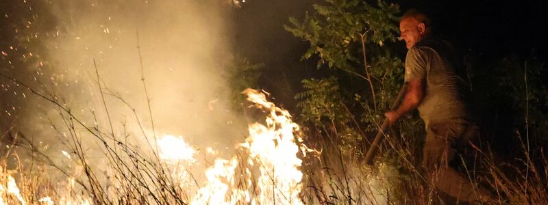 Umweltschutzorganisation: Sizilien war in diesem Jahr stark von Bränden betroffen. - Foto: Alberto Lo Bianco/IPA via ZUMA Press/dpa