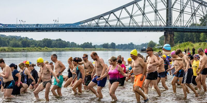 Das Elbeschwimmen wird immer beliebter. - Foto: Frank Hammerschmidt/dpa
