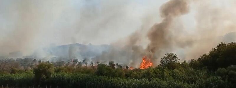 Die meisten Brände sind auf die Mittelmeerinsel Sardinien und Sizilien. - Foto: Paolo Diletto/IPA via ZUMA Press/dpa