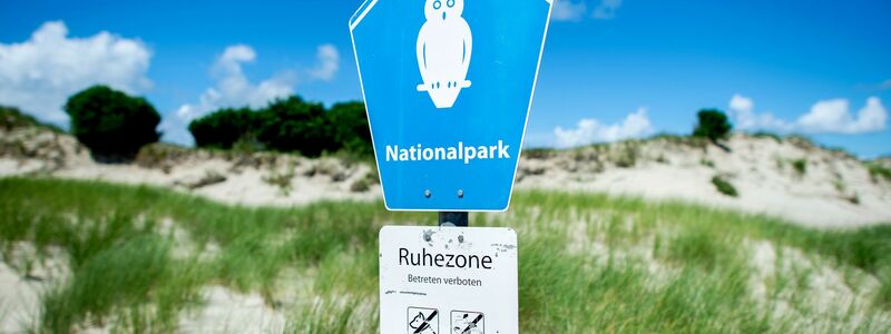 In der Ruhezone des Nationalparks Niedersächsisches Wattenmeer gelten die strengsten Schutzbestimmungen. (Archivbild) - Foto: Hauke-Christian Dittrich/dpa