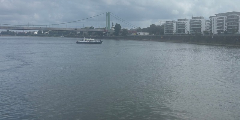 POL-DU: Duisburg/Mühlheim: Hündin Esa fast ertrunken - Foto: presseportal.de