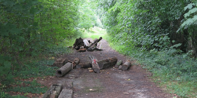 POL-DEL: Landkreis Oldenburg: Illegale Entsorgung von Sondermüll in Winkelsett - Foto: presseportal.de