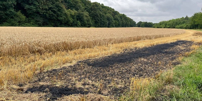 POL-NE: Ermittler suchen Zeugen nach Brand auf Feld - Foto: presseportal.de