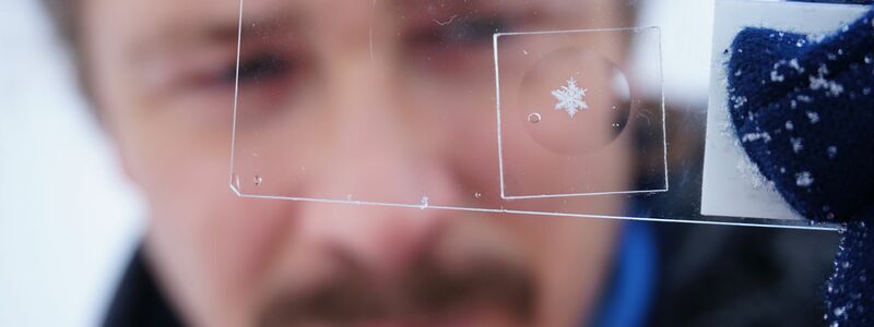Schneeflocken haben sehr feine Strukturen. - Foto: Hoffmann/Cryosity/dpa