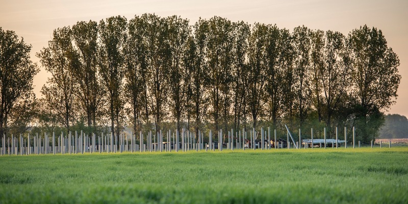 GP JOULE übernimmt technische Betriebsführung für den Solarpark Frankenförde / Auf die EPC-Leistung folgt nun auch der Service-Auftrag von PARQ energy - Foto: presseportal.de
