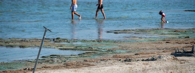 Der Kontakt mit blühenden Blaualgen kann unangenehme Folgen haben - wie Übelkeit, Fieber oder gar Atemnot. Zu Beginn des Sommers ist das meist noch kein Problem. (Symbolbild) - Foto: Stefan Sauer/dpa