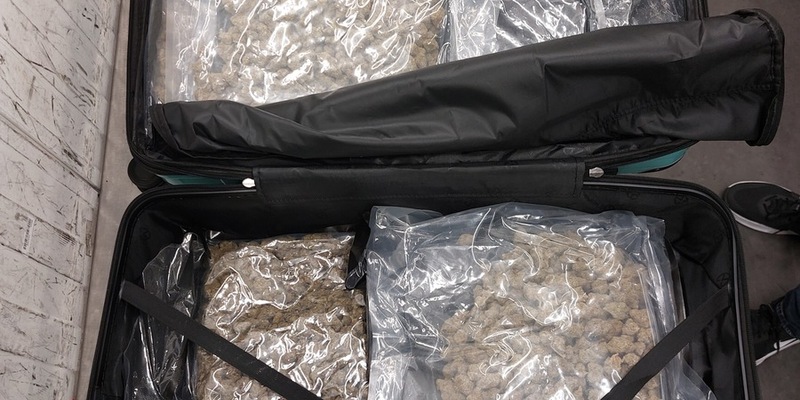 HZA-M: 70 Kilogramm Marihuana im Reisegepäck - Rauschgift bei Röntgenkontrolle entdeckt - Foto: presseportal.de