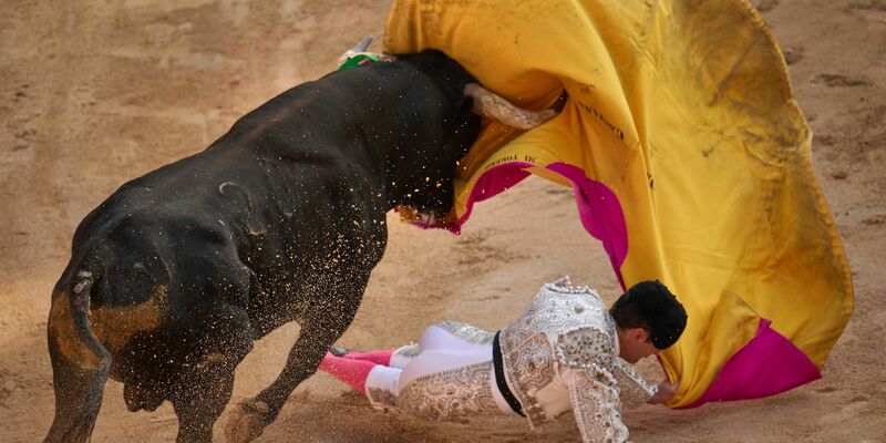 Die Tradition wird zunehmend infrage gestellt. (Archivbild) - Foto: Miguel Oses/AP/dpa