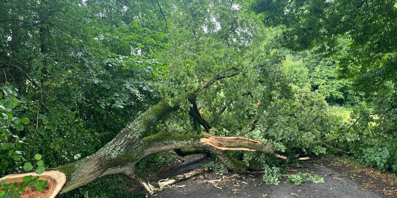 FW-EN: Wetter - zwei Hilfeleistungseinsätze für die Feuerwehr Wetter (Ruhr) - Foto: presseportal.de