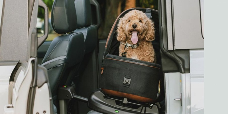 Fast jeder 2. Deutsche hat ein Haustier & ca. die Hälfte sichern es falsch / Tavo Pets Kampagne Imagine the Impact - Foto: presseportal.de