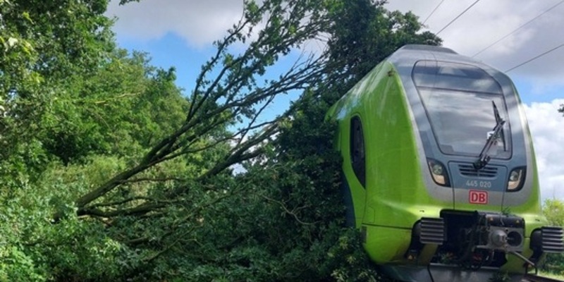 BPOL-FL: Baum fällt auf Oberleitung - Zug kann nicht rechtzeitig bremsen - Foto: presseportal.de