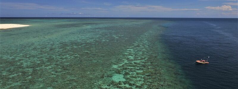 Das Australian Institute of Marine Science (AIMS) untersucht das Great Barrier Reef seit vielen Jahren. - Foto: Kate Osborne/AIMS /dpa
