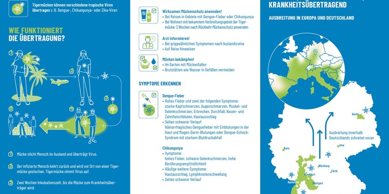 Biogents sensibilisiert die Bevölkerung / Ausbreitung der Tigermücke in Deutschland - WHO warnt vor Chikungunya-Epidemie - Foto: presseportal.de