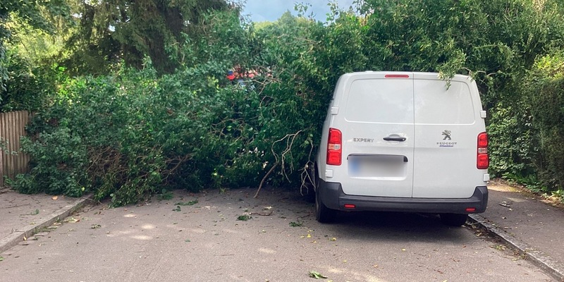 FW-M: Umgestürzter Baum erfordert schweres Gerät (Lochhausen) - Foto: presseportal.de
