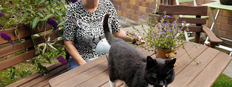 Manuela Jeschke hat das «Katzenparadies» privat gegründet. - Foto: Ulrike von Leszczynski/dpa
