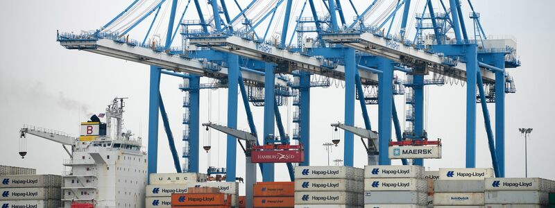 Für Importe aus der EU in die USA sollen künftig Aufschläge von 15 Prozent gelten.  - Foto: Matt Slocum/AP/dpa