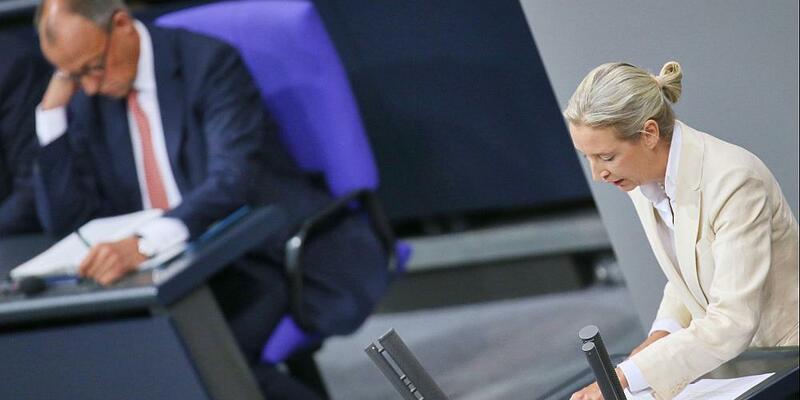 Friedrich Merz und Alice Weidel (AfD) (Archiv) - Foto: über dts Nachrichtenagentur