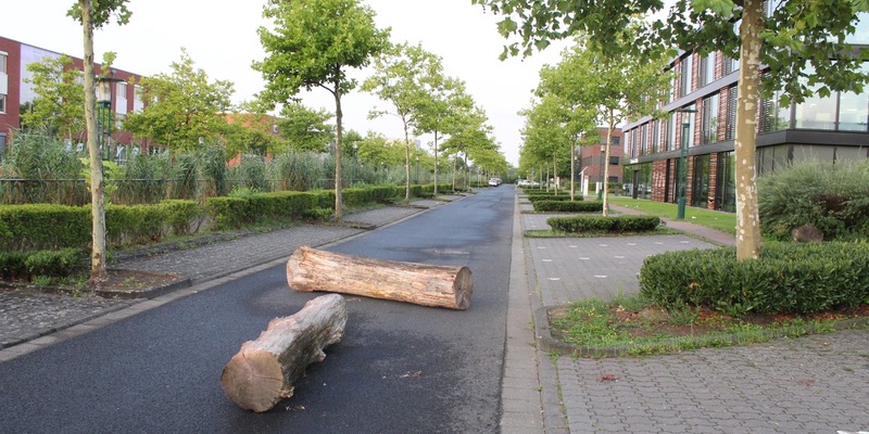 POL-VIE: Unbekannte legen Baumstämme auf Straße - Foto: presseportal.de