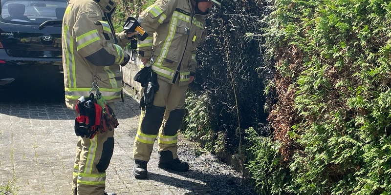 FW Lehrte: Gasbrenner setzt Hecke in Brand - Foto: presseportal.de