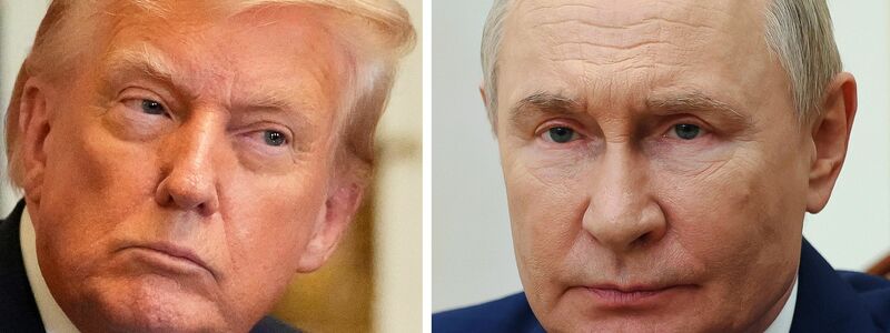 Trump und Putin wollen sich erstmals persönlich treffen, um über eine Beendigung des russischen Angriffskrieges gegen die Ukraine zu sprechen. - Foto: Mark Schiefelbein/Mihail Metzel/AP/Pool Sputnik Government via AP/dpa