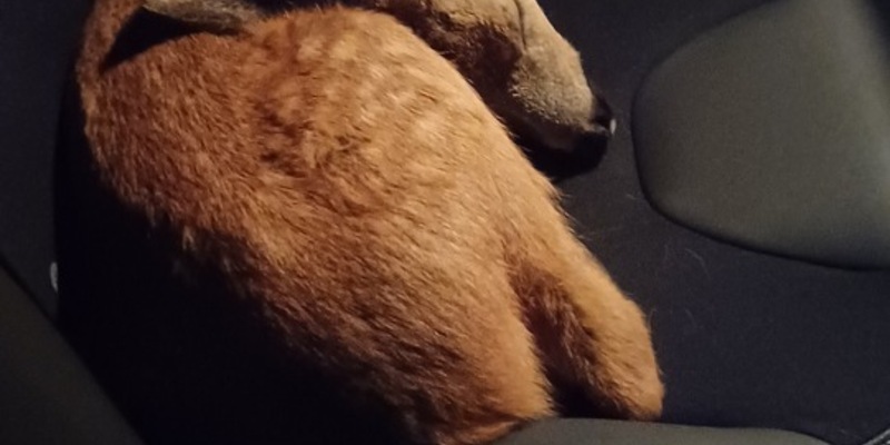 POL-OG: Mittelbaden - Mit guten Nachrichten ins Wochenende - Foto: presseportal.de