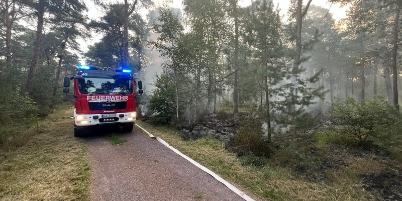 POL-PDNW: Polizeiinspektion Haßloch - Brandentwicklung in einem südlichen Waldstück von Haßloch - Foto: presseportal.de
