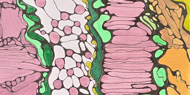 Das Innere in Dir von Natalia Lehmann - Foto: Natalia Lehmann über pressetext.de