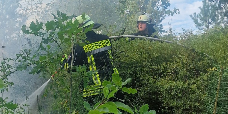 FW Celle: Zwei Vegetationsbrände in der Witzlebenstraße - Foto: presseportal.de