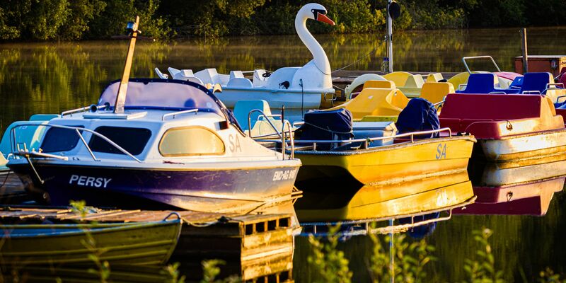 Die Sonne zeigt sich häufig über Deutschland in den kommenden Tagen. - Foto: Moritz Frankenberg/dpa