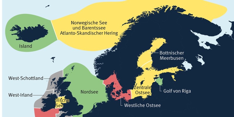 MSC-Studie: Hering in deutschen Supermärkten nur zur Hälfte nachhaltig - Foto: presseportal.de