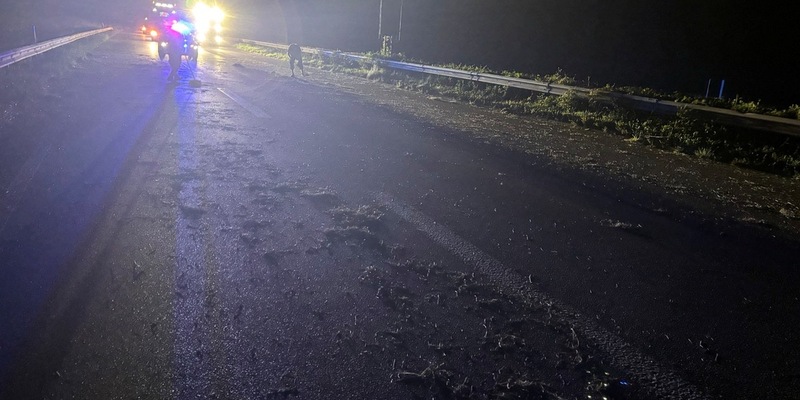 POL-PDLD: Mit Heuballen kollidiert - Foto: presseportal.de