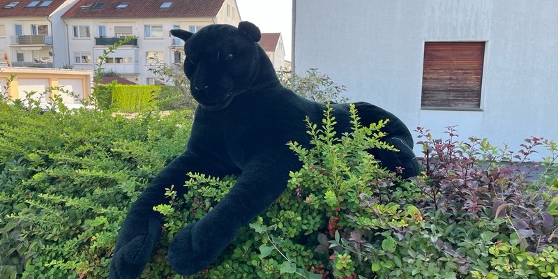 POL-LIP: Lage. Gefährdung durch ein freilaufendes Raubtier? - Foto: presseportal.de