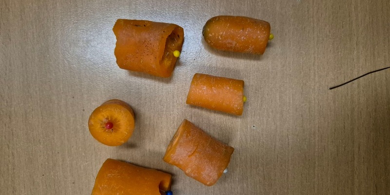 POL-SE: Wedel - Pferd wird durch mit Nadeln präparierte Karotten verletzt - Polizei leitet Strafverfahren ein und sucht Hinweise - Foto: presseportal.de