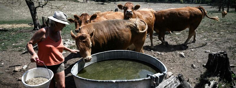 Die große Trockenheit macht in Frankreich insbesondere den Landwirten zu schaffen. - Foto: Jean-Philippe Ksiazek/AFP/dpa