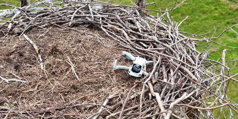 POL-LG: ++ Storchennest mit Drohne gestört - Tiere verlassen das Nest ++ Monitore und Empfänger aus landwirtschaftlichen Maschinen gestohlen ++ Alkoholisierte Radfahrerin von Zeugen festgehalten ++ - Foto: presseportal.de