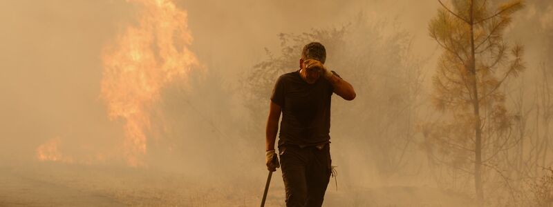 Tausende Feuerwehrleute und freiwillige Helfer sind in ganz Spanien im Einsatz gegen die Flammen. - Foto: Lalo R. Villar/AP/dpa