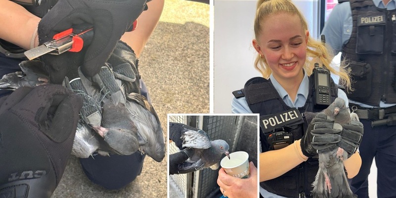 Bundespolizeidirektion München: Taubenrettung im Ostbahnhof - Foto: presseportal.de