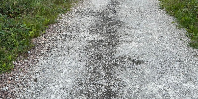 POL-GÖ: (276/2025) Ölverschmutzung auf Waldweg im Kuckanstal bei Bad Sachsa - Polizei sucht Zeugen - Foto: presseportal.de