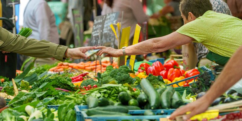Bei Salat liegt der deutsche Selbstversorgungsgrad etwas höher als bei anderen Gemüsearten. (Archivbild) - Foto: Andreas Arnold/dpa