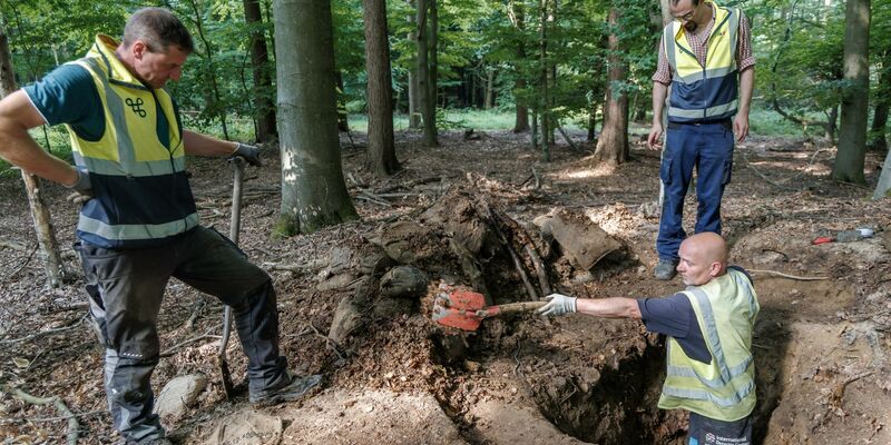 Grabungsleiter Christoph Unglaub sagt, das Denkmal sei zum Teil zerstört worden. - Foto: Markus Scholz/dpa