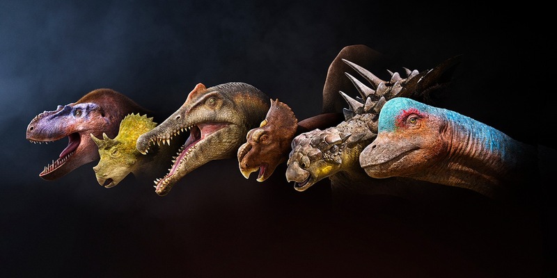 Terra X: Unter Dinos – Geheimnisse der Urzeit im ZDF / Sechs Dino-Geschichten mit neuesten Forschungserkenntnissen - Foto: presseportal.de