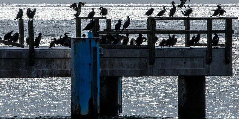 Nach der Hitze kühlt es etwas ab. - Foto: Jens Büttner/dpa