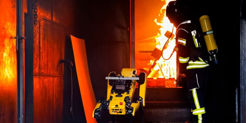 Der Norddeutsche hat für seine Grundlagenforschung EU-Fördermittel eingeworben. - Foto: Frank Molter/dpa