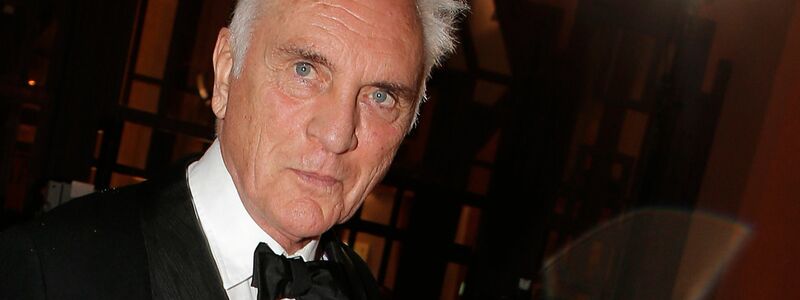 Terence Stamp startete seine Filmkarriere in den 1960er Jahren. (Archivbild)  - Foto: Lionel Cironneau/AP/dpa