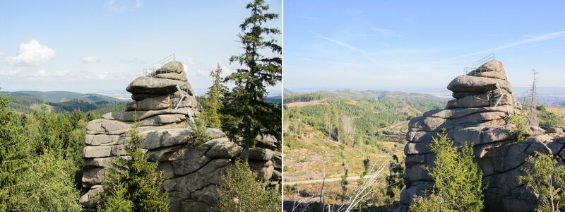 Der Ottofelsen im Harz 2014 und 2023: Seit 2018 gibt es im Harz ein immenses Baumsterben. Damals warf ein Orkan zahlreiche Bäume um. Das Totholz in Verbindung mit der Trockenheit in den vergangenen Jahren führte zu einer besonders starken Ausbreitung des Borkenkäfers und zu einem massiven Fichtensterben. - Foto: Julian Stratenschulte/dpa
