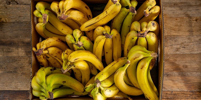 Neue ZDF-Reportage: Bananen – Genuss mit Beigeschmack - Foto: presseportal.de