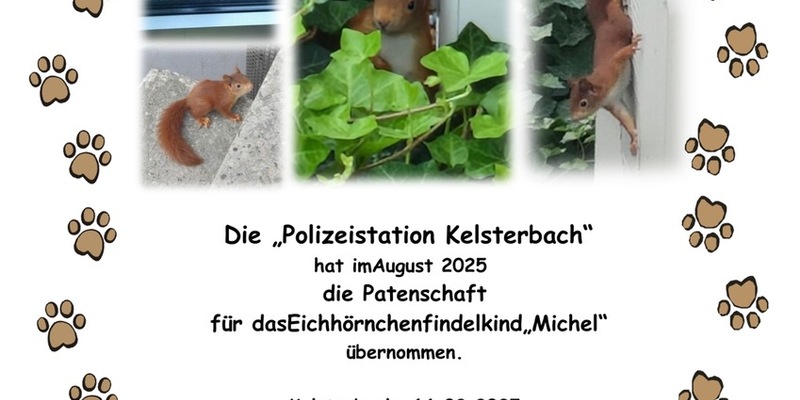 POL-DA: Kelsterbach: Polizei übernimmt Patenschaft für Eichhörnchen-Bub Michel - Foto: presseportal.de
