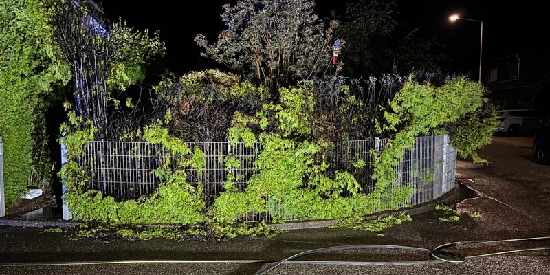 FW Alpen: Nächtlicher Heckenbrand in Menzelen - Foto: presseportal.de